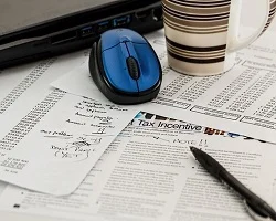 Accountants in Mauritius
